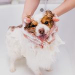 Grooming